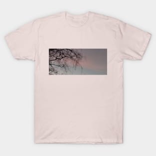 Branches and sky T-Shirt
